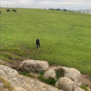 Meet your Posher, Violet